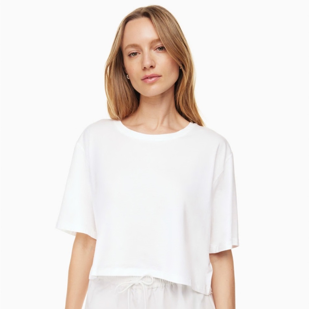 The Group By Babaton Foundation Relaxed Crop T Shirt